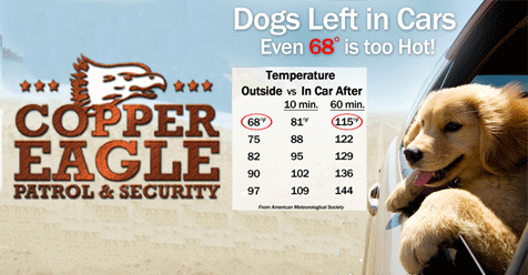 Copper Eagle Patrol & Security – Children and Pets