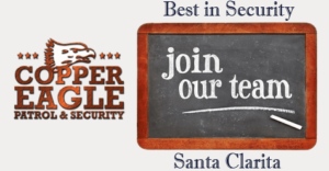 Security Patrol For SCV Businesses