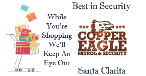 While You’re Shopping We’ll Keep An Eye Out