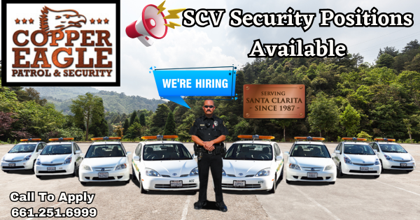 Security Positions In SCV