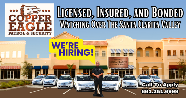 Security Patrol For SCV Businesses